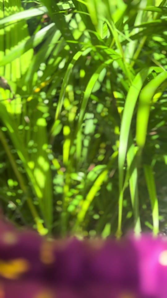 TikTok video thumbnail by crochetbya2