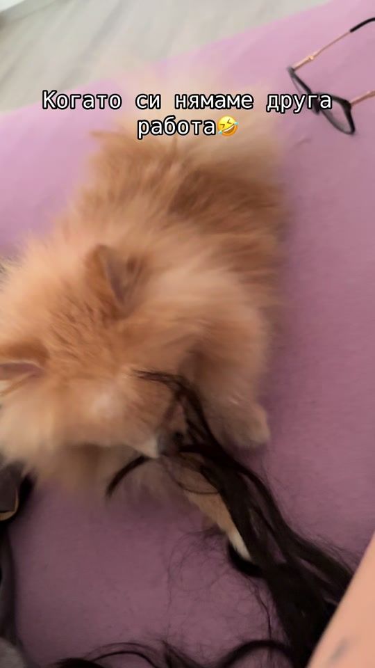 TikTok video thumbnail by ivanastoykova7