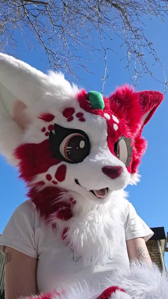 TikTok video thumbnail by dancing_furry