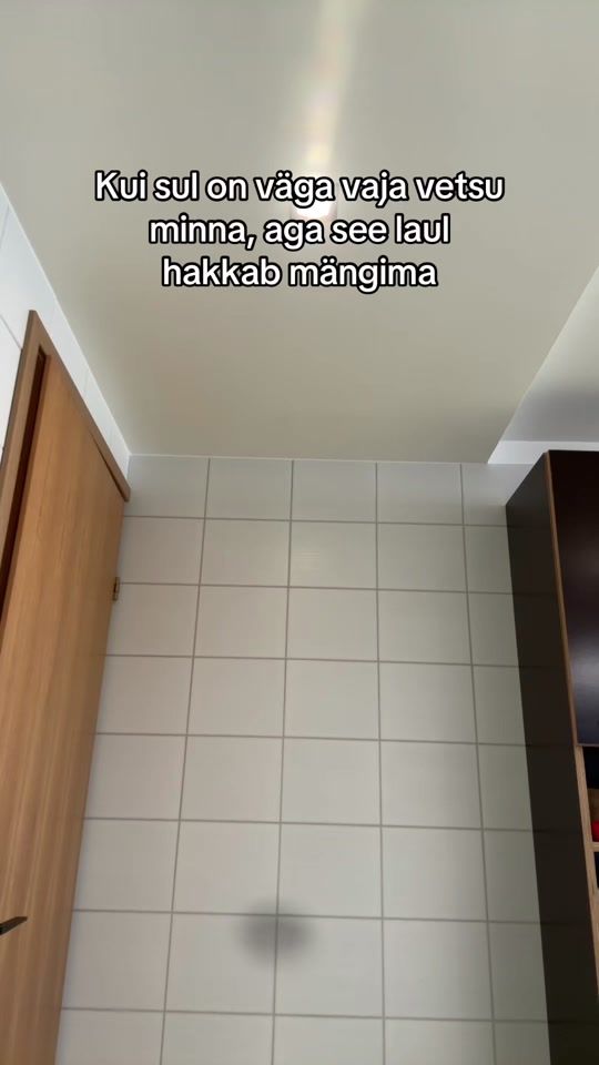TikTok video thumbnail by matutonka