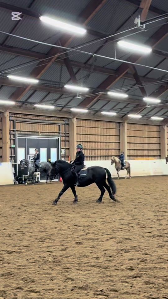 TikTok video thumbnail by mh_equestrian