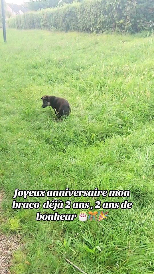 TikTok video thumbnail by braco090623