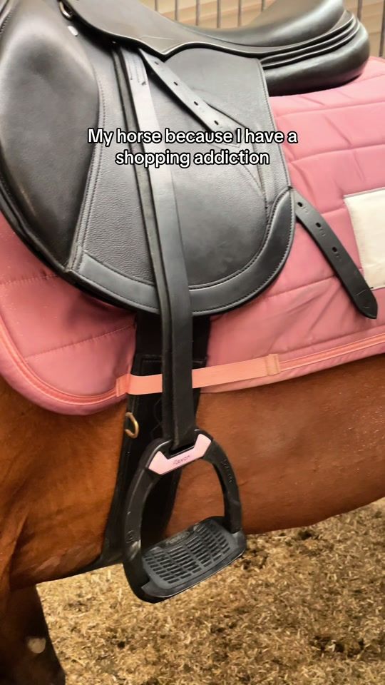 TikTok video thumbnail by ms__equestrian