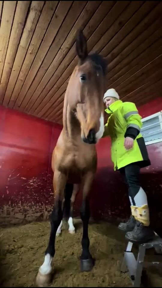 TikTok video thumbnail by virpinoora