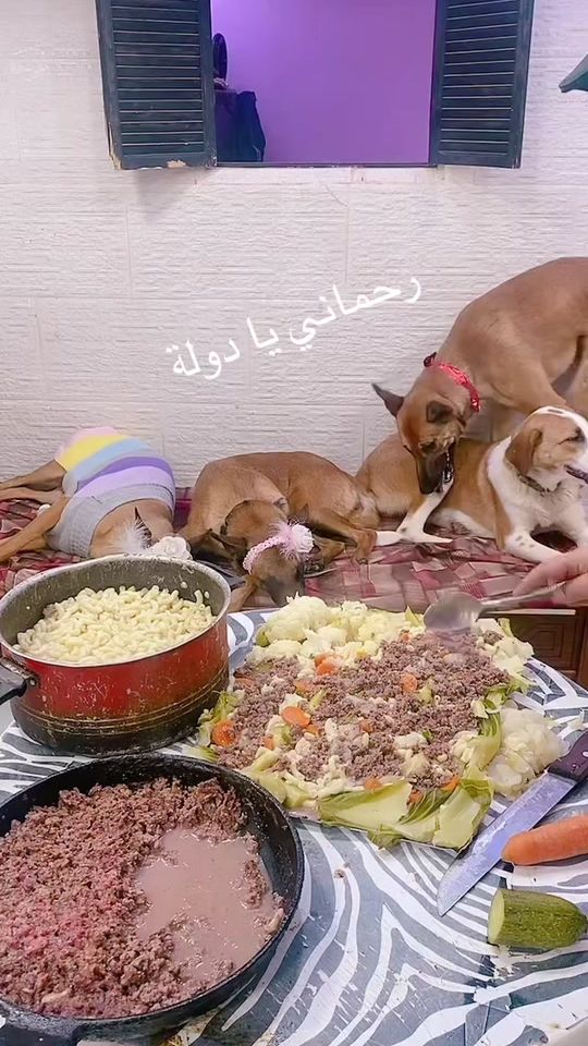 TikTok video thumbnail by roza587