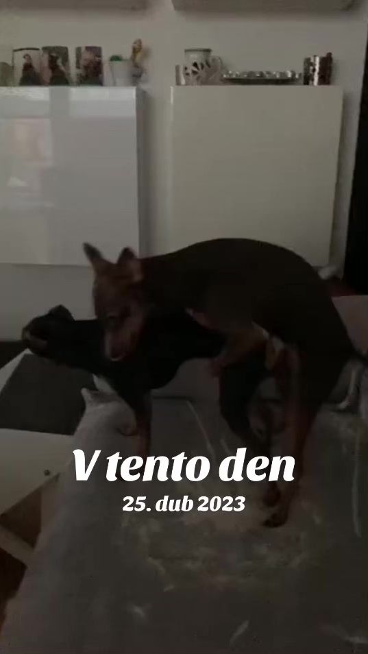TikTok video thumbnail by baslradek44