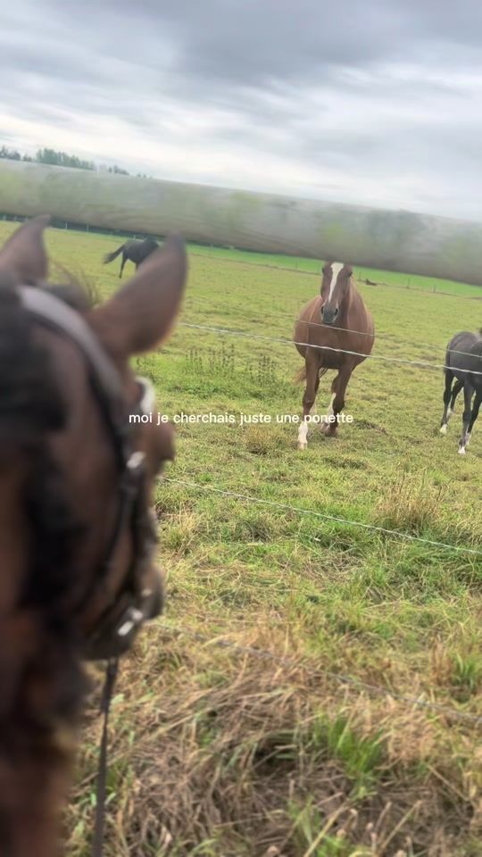 TikTok video thumbnail by mahautden