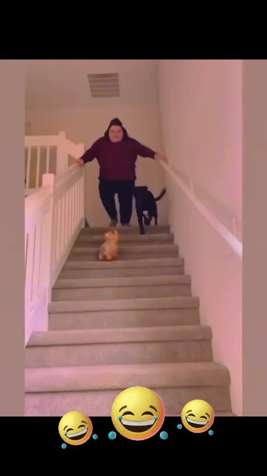 TikTok video thumbnail by skye_skye35