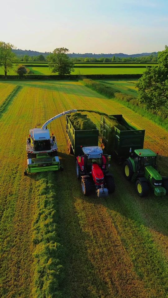 TikTok video thumbnail by morlandagri