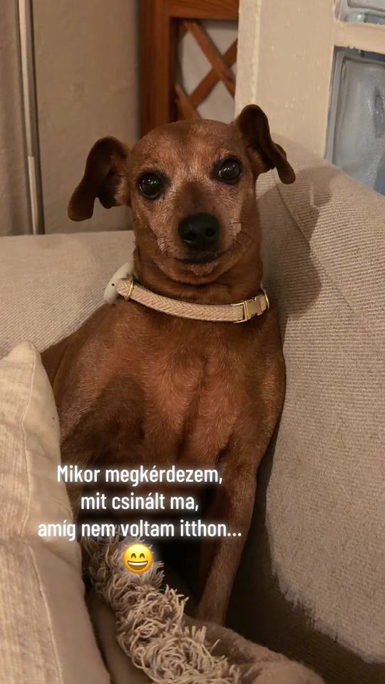 TikTok video thumbnail by balazsandi
