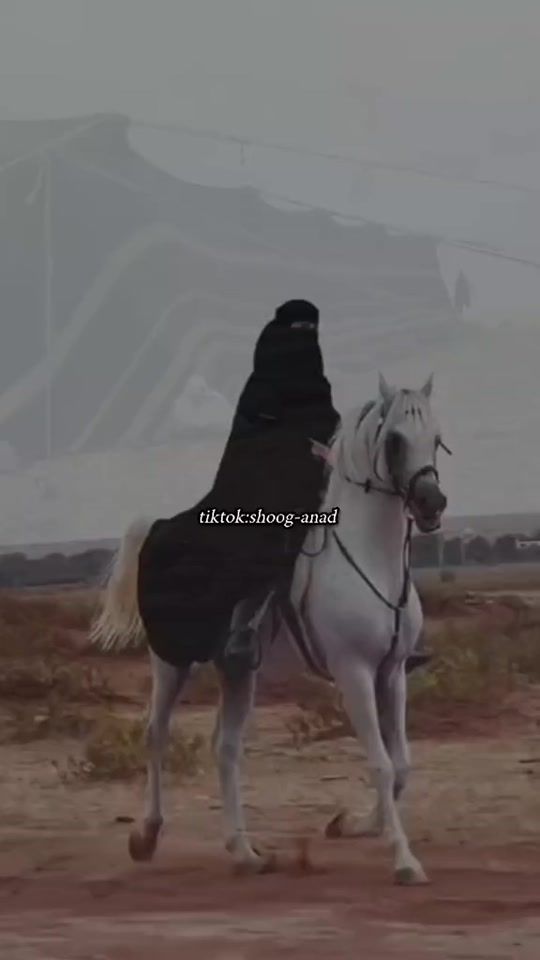 TikTok video thumbnail by shoog_anad