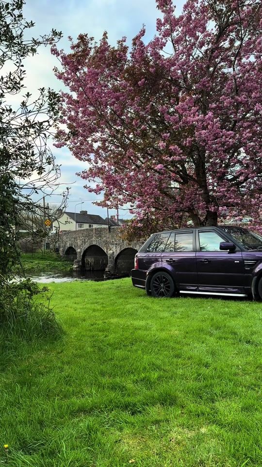 TikTok video thumbnail by a1sparkey