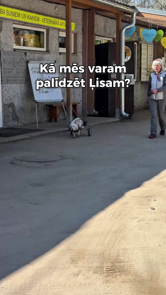 TikTok video thumbnail by ecobaltiavide