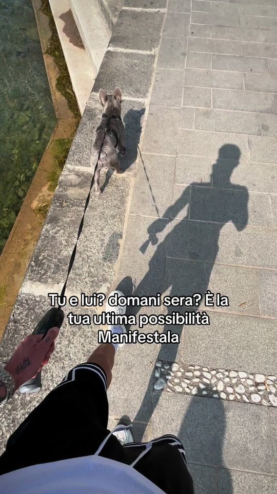 TikTok video thumbnail by danycerri