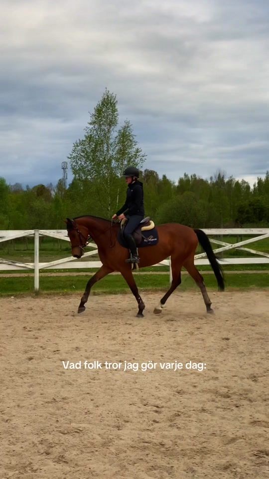 TikTok video thumbnail by _equi.lilli