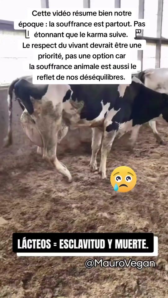 TikTok video thumbnail by guylene_losat