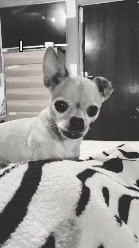 TikTok video thumbnail by quxxnofdisaster__
