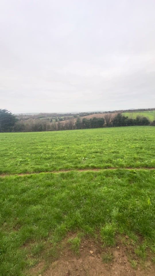 TikTok video thumbnail by joc_kennels