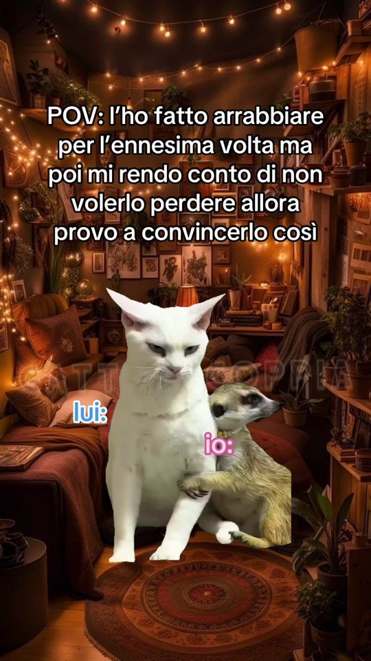 TikTok video thumbnail by gatti_meme