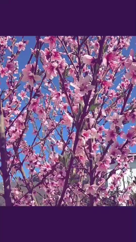 TikTok video thumbnail by tildaaa_ilda