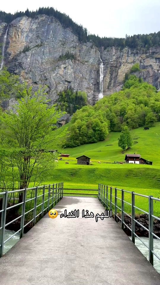TikTok video thumbnail by swiss_with_ayham