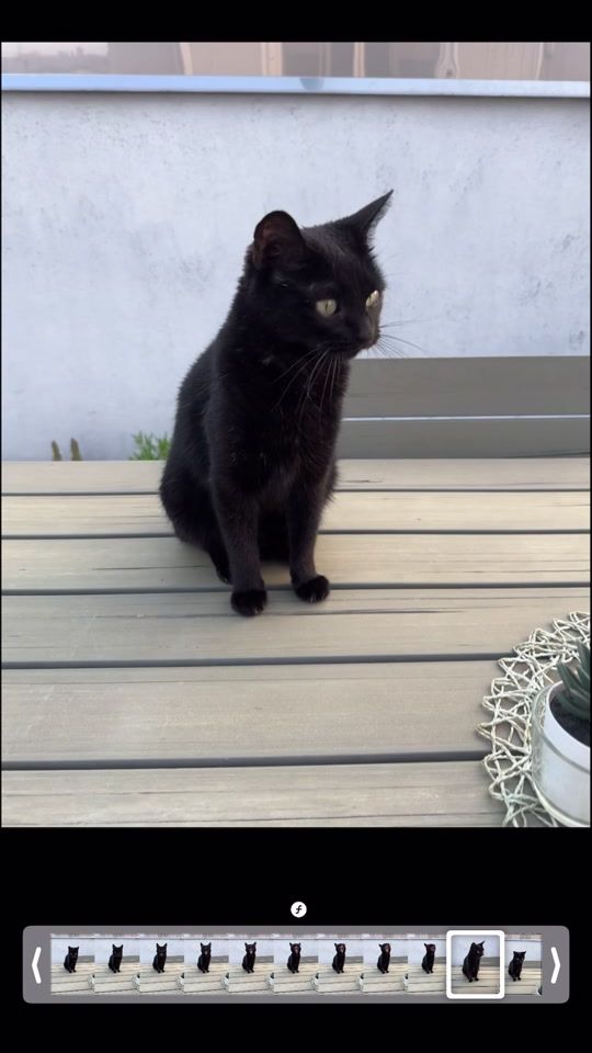 TikTok video thumbnail by eve.black.85
