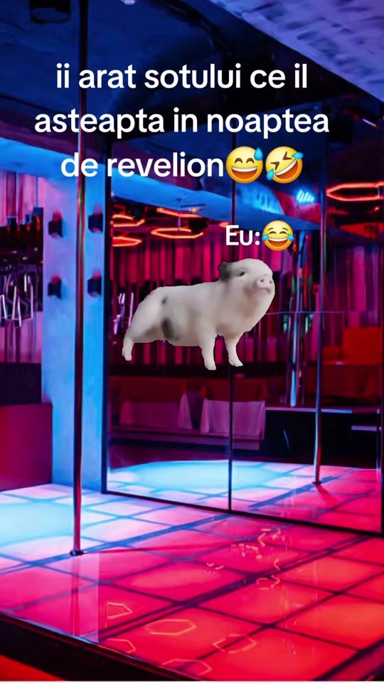TikTok video thumbnail by florentina284