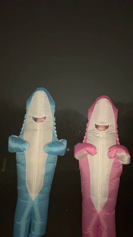 TikTok video thumbnail by twofinfriends