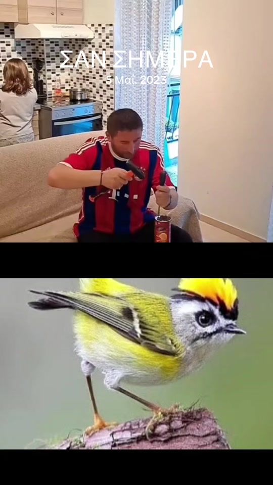 TikTok video thumbnail by panajotkorreshi