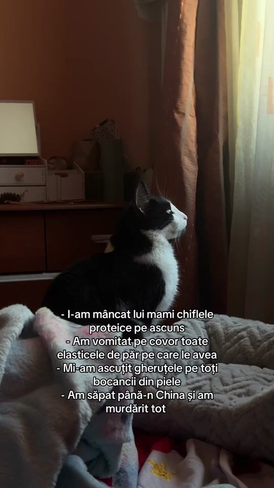 TikTok video thumbnail by andreeaionescu_