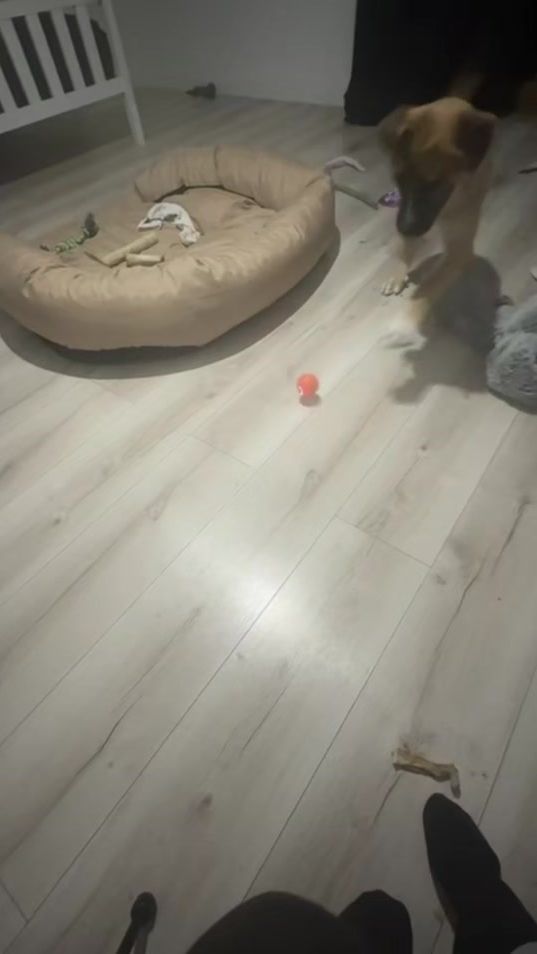 TikTok video thumbnail by klaudia1bed1