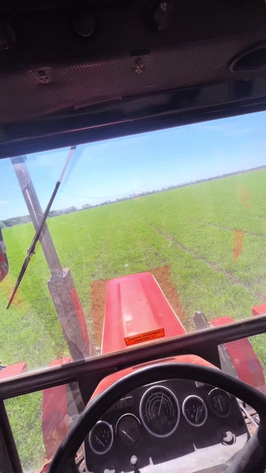 TikTok video thumbnail by l3vi501