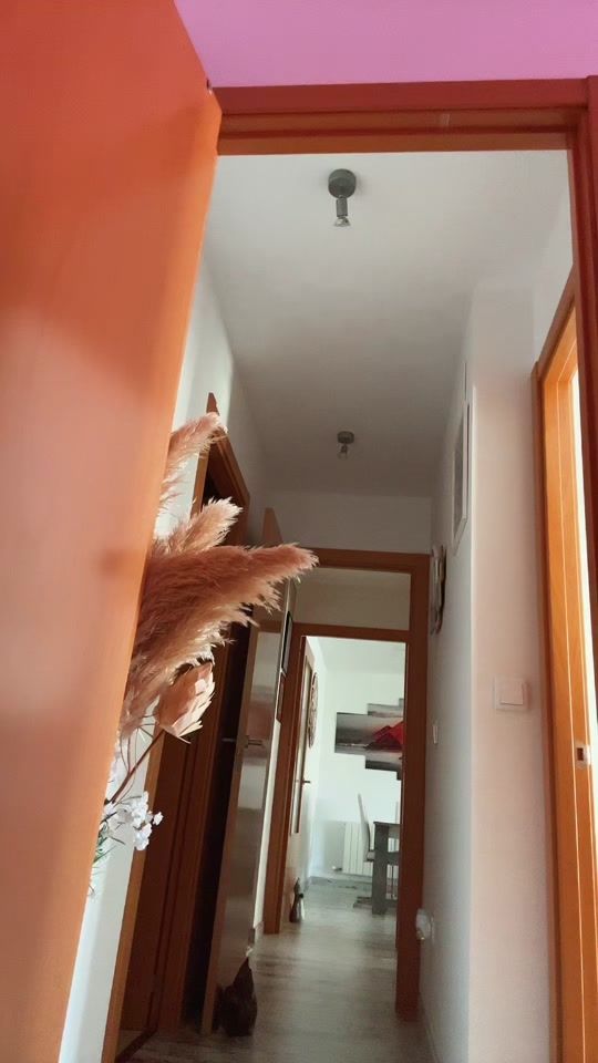 TikTok video thumbnail by t.suica