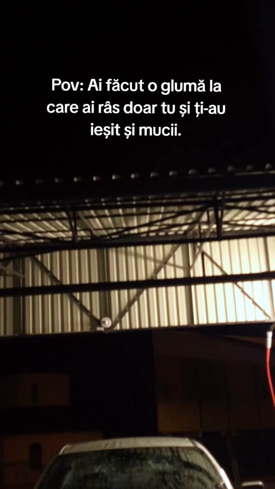 TikTok video thumbnail by _alin_666