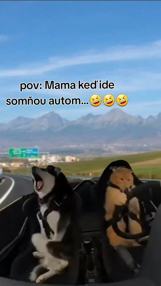 TikTok video thumbnail by boss99.sk