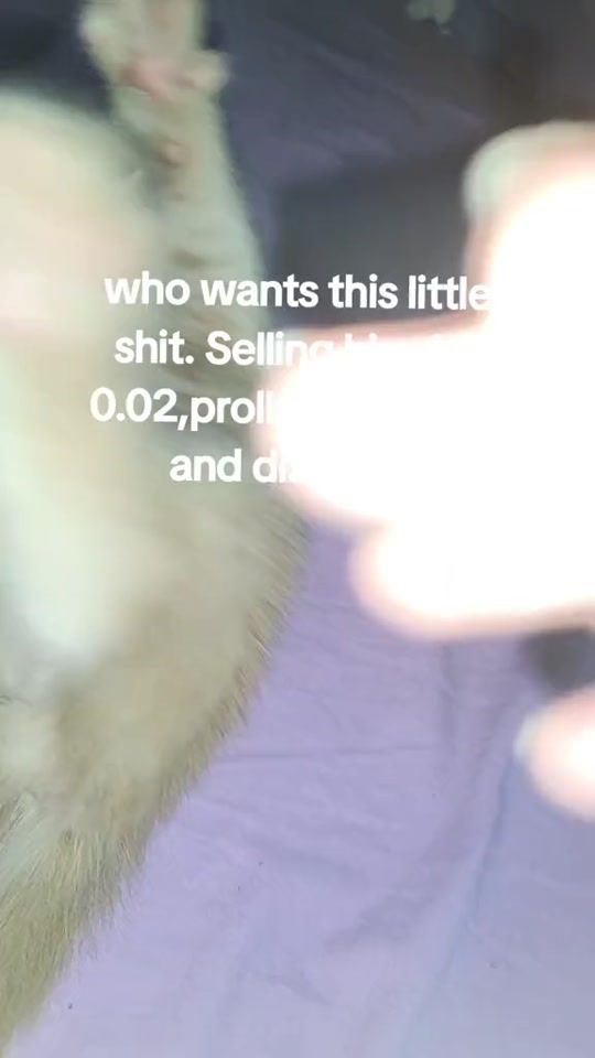 TikTok video thumbnail by hrys4life