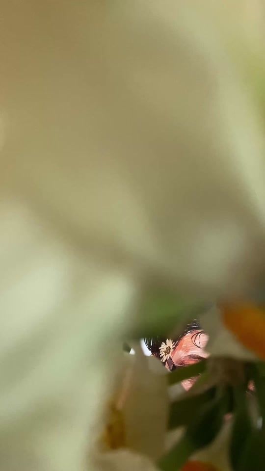 TikTok video thumbnail by tasitamadeit