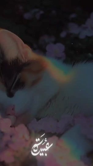 TikTok video thumbnail by c8ex2