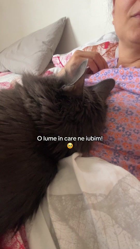 TikTok video thumbnail by zara.fuzzypants