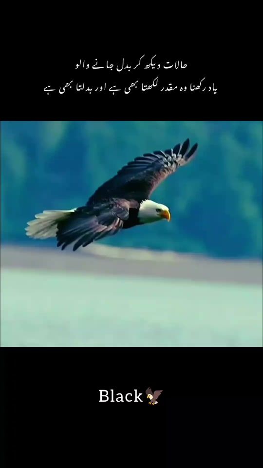 TikTok video thumbnail by iloveeagle945