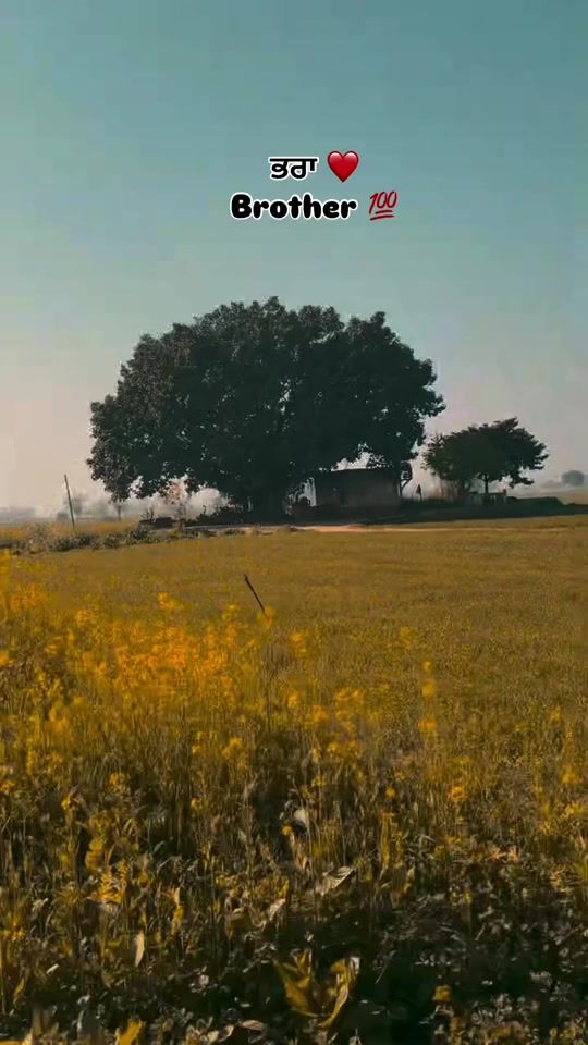 TikTok video thumbnail by sandeep_20222