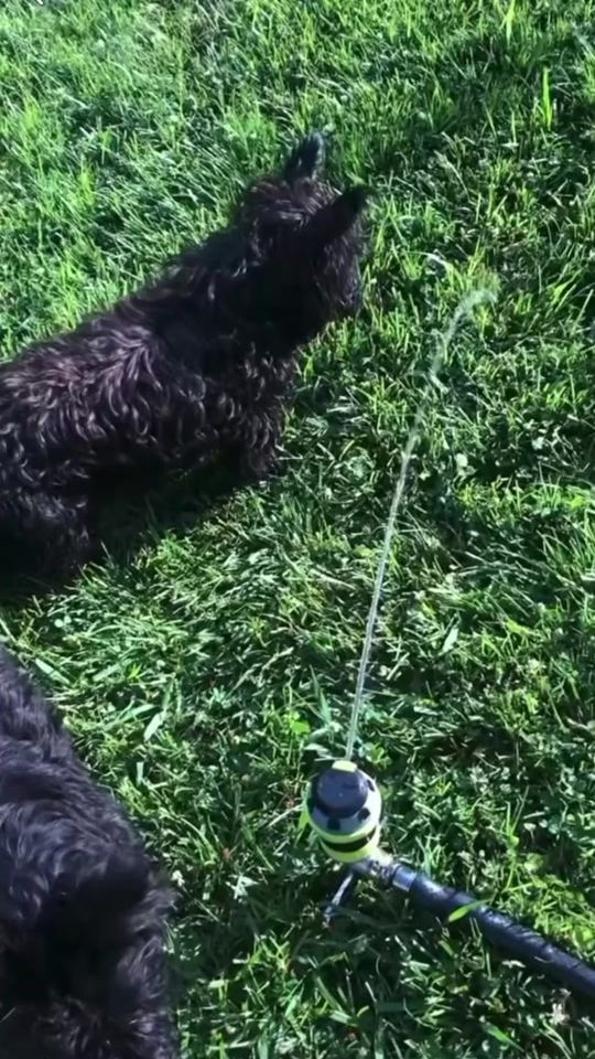 TikTok video thumbnail by izy.isabel