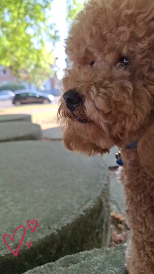 TikTok video thumbnail by tommy93748