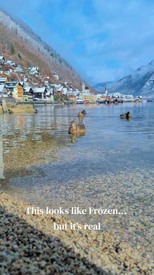 TikTok video thumbnail by ms_photopro