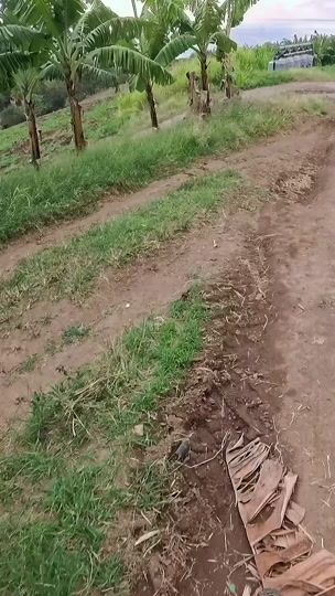 TikTok video thumbnail by quentin23480