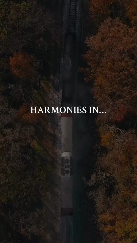 TikTok video thumbnail by harmoniesunlocked
