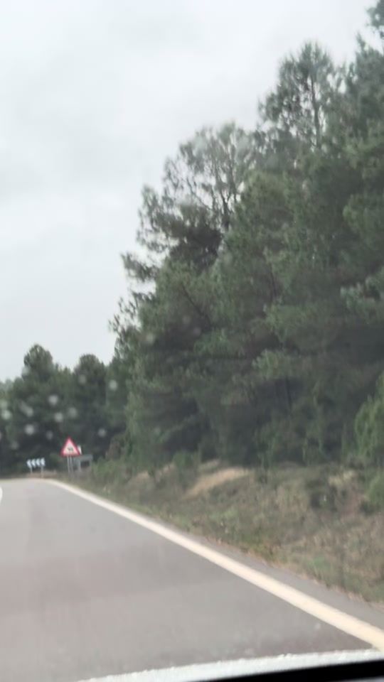 TikTok video thumbnail by rifi_hassi80