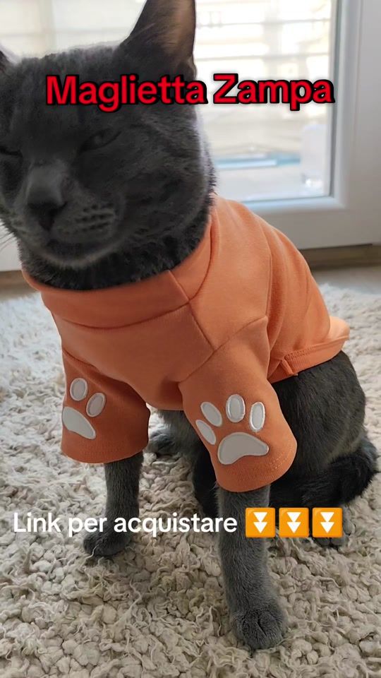 TikTok video thumbnail by gigios_official