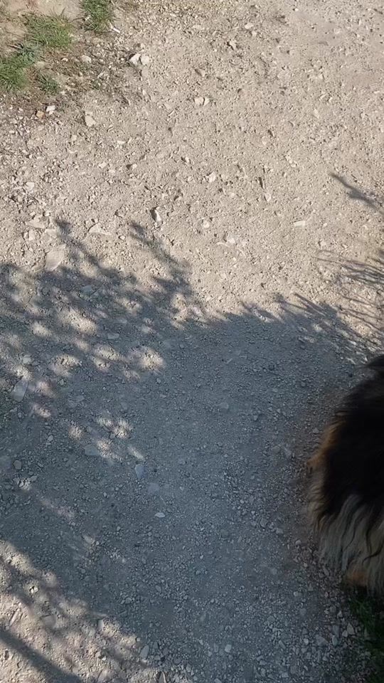 TikTok video thumbnail by alyshaszofika