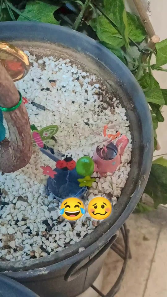 TikTok video thumbnail by mastan__kabul